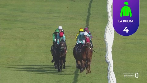 Hollywoodbets Kenilworth SA 03 May 2026 Race 7