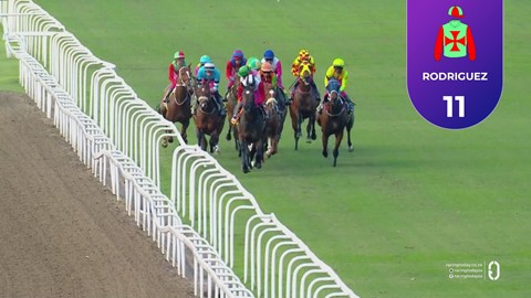 Hollywoodbets Greyville SA 31 Oct 2025 Race 5