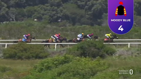 Hollywoodbets Kenilworth SA 15 Nov 2025 Race 1