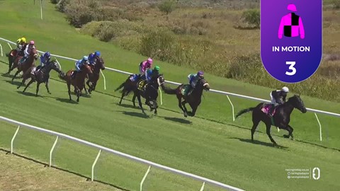 Hollywoodbets Kenilworth SA 24 Dec 2025 Race 4