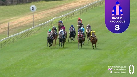 Hollywoodbets Scottsville SA 08 Feb 2026 Race 4