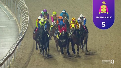 Hollywoodbets Greyville SA 17 Apr 2026 Race 6