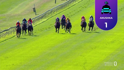 Hollywoodbets Scottsville SA 26 Apr 2026 Race 1