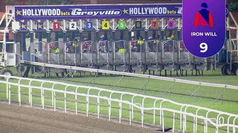 Hollywoodbets Greyville SA 19 Dec 2025 Race 8
