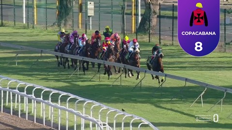 Hollywoodbets Greyville SA 19 Dec 2025 Race 2