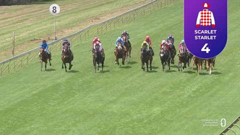 Hollywoodbets Scottsville SA 11 Jan 2026 Race 4