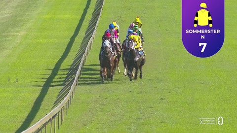 Hollywoodbets Scottsville SA 26 Apr 2026 Race 6