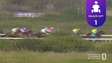 Hollywoodbets Kenilworth SA 15 Aug 2026 Race 7