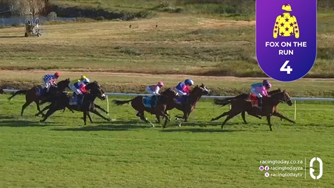 Hollywoodbets Durbanville SA 29 Oct 2025 Race 8