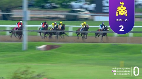 Hollywoodbets Greyville SA 24 Sep 2026 Race 7
