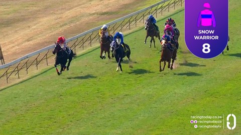Hollywoodbets Scottsville SA 09 Aug 2026 Race 2