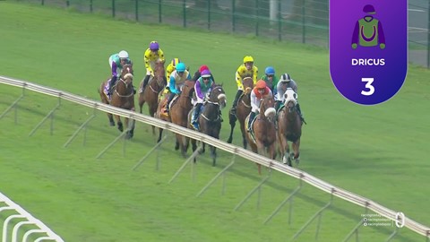 Hollywoodbets Greyville SA 07 Nov 2025 Race 6