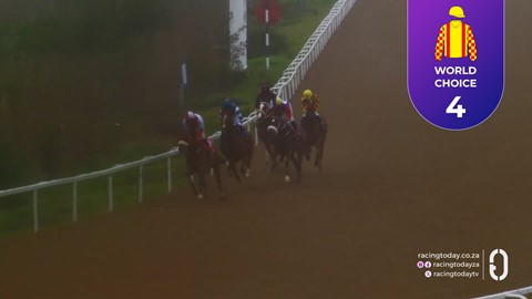Fairview SA 18 Sep 2026 Race 2