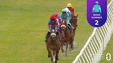 Hollywoodbets Durbanville SA 22 Aug 2026 Race 3