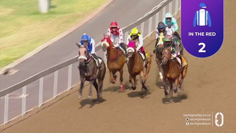 Hollywoodbets Greyville SA 18 Aug 2026 Race 2