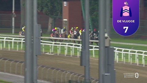 Hollywoodbets Greyville SA 07 Nov 2025 Race 10