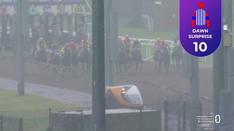 Hollywoodbets Greyville SA 27 Oct 2025 Race 8