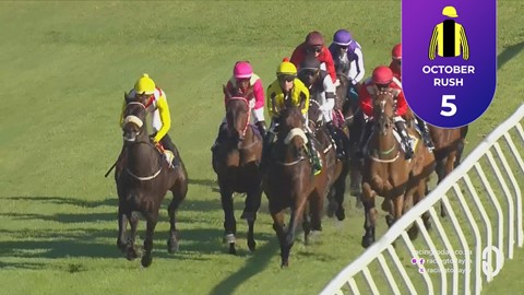 Hollywoodbets Durbanville SA 28 Oct 2026 Race 8