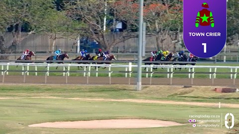 Hollywoodbets Greyville SA 03 Aug 2025 Race 3