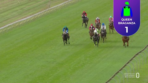 Hollywoodbets Scottsville SA 01 Mar 2026 Race 8