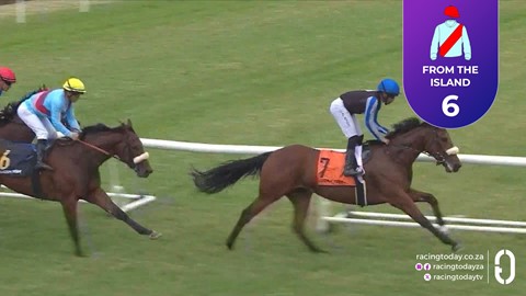 Hollywoodbets Kenilworth SA 15 Apr 2026 Race 3