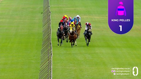Hollywoodbets Scottsville SA 08 Feb 2026 Race 8
