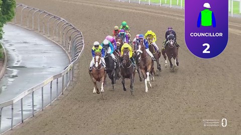 Hollywoodbets Greyville SA 16 Nov 2025 Race 3