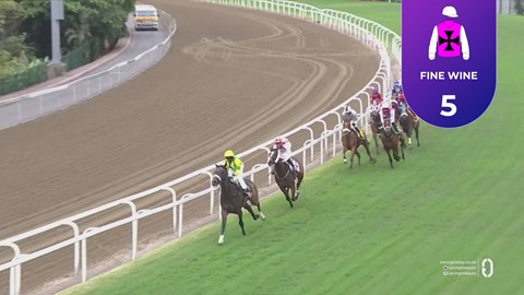 Hollywoodbets Greyville SA 07 Nov 2025 Race 4