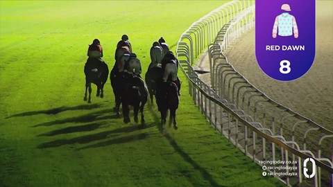 Hollywoodbets Greyville SA 25 Sep 2026 Race 5
