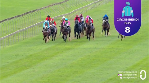 Hollywoodbets Scottsville SA 15 Mar 2026 Race 9