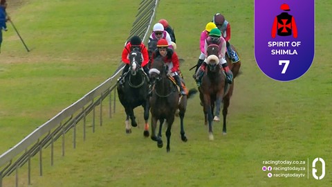 Hollywoodbets Scottsville SA 29 Jul 2026 Race 7