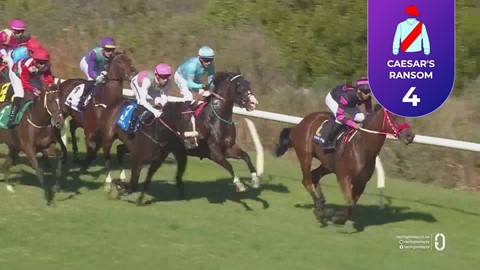 Hollywoodbets Kenilworth SA 16 May 2026 Race 3
