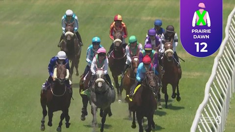 Hollywoodbets Durbanville SA 21 Jan 2026 Race 2