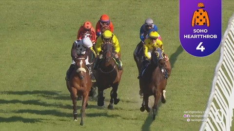 Hollywoodbets Durbanville SA 07 Oct 2026 Race 7