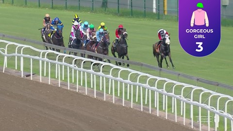 Hollywoodbets Greyville SA 11 Apr 2026 Race 3