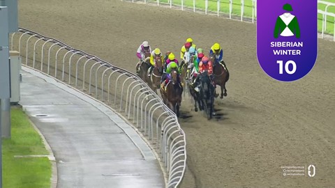 Hollywoodbets Greyville SA 28 Nov 2025 Race 8