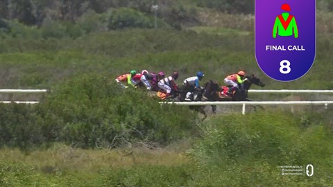 Hollywoodbets Kenilworth SA 24 Dec 2025 Race 1