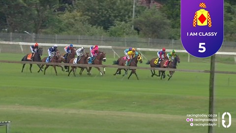 Hollywoodbets Scottsville SA 15 Feb 2026 Race 5