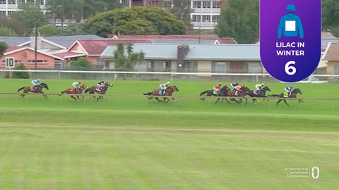 Hollywoodbets Scottsville SA 01 Mar 2026 Race 6