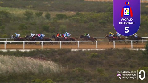 Fairview SA 28 Nov 2025 Race 6