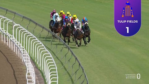 Hollywoodbets Greyville SA 11 Apr 2026 Race 4