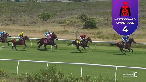 Hollywoodbets Kenilworth SA 10 Nov 2025 Race 3