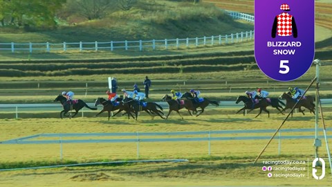 Turffontein SA 16 Jul 2026 Race 7