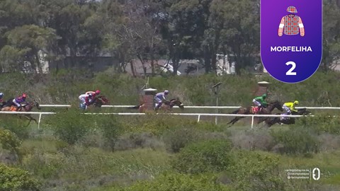 Hollywoodbets Kenilworth SA 02 Nov 2025 Race 1