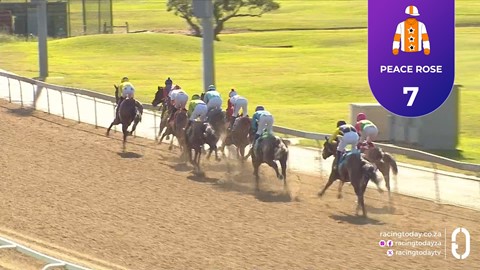 Hollywoodbets Greyville SA 20 May 2026 Race 3