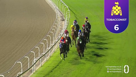 Hollywoodbets Greyville SA 25 Sep 2026 Race 8
