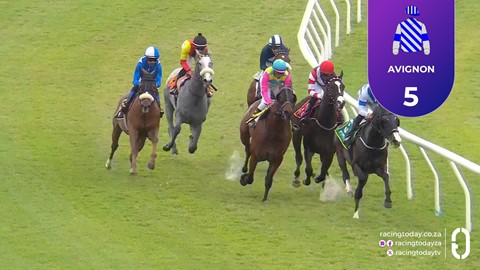 Hollywoodbets Durbanville SA 22 Aug 2026 Race 4