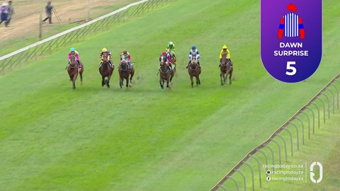 Hollywoodbets Scottsville SA 14 Sep 2025 Race 7