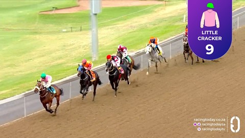 Hollywoodbets Greyville SA 03 Jun 2026 Race 7