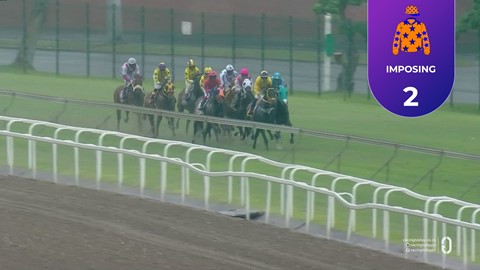 Hollywoodbets Greyville SA 26 Dec 2025 Race 7